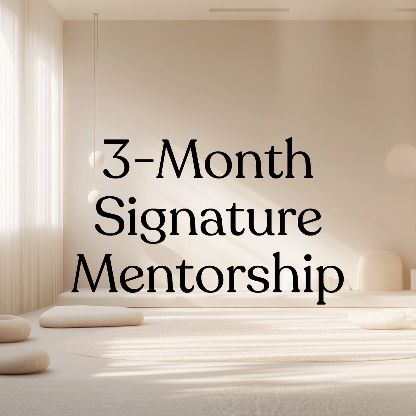 3-Month Signature Mentorship