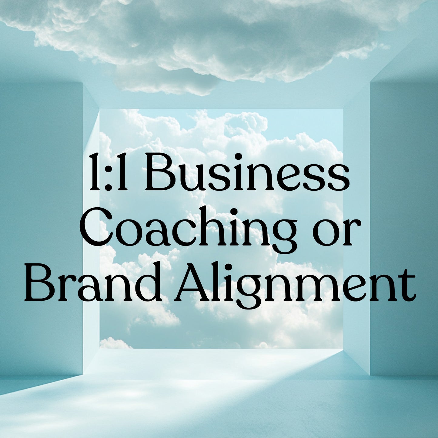 1:1 Business Coaching or Brand Alignment